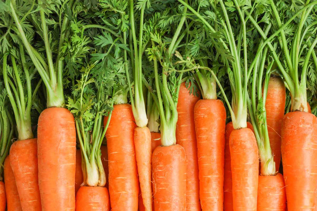 Are Carrots Keto-Friendly?