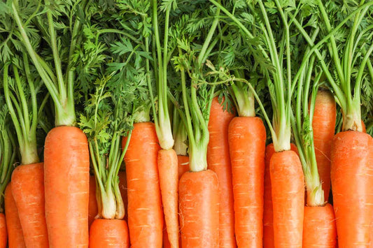 Are Carrots Keto-Friendly?