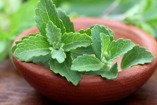 Stevia: Is it worth it?